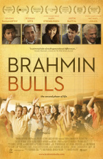 Brahmin Bulls