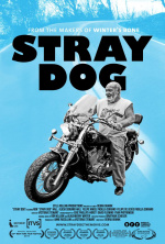 Stray Dog