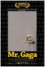 Mr. Gaga