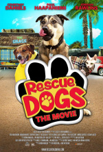 Rescue dogs