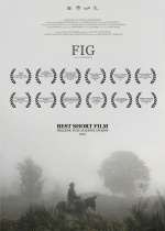 Fig