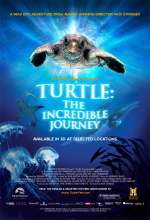 Turtle: The Incredible Journey