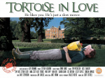 Tortoise in Love