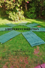 A Different Direction