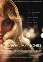 NHCF - The White Orchid