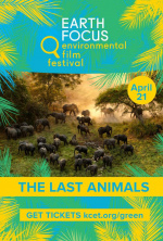 The Last Animals