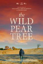 The Wild Pear Tree