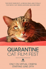 Quarantine Cat Film Festival