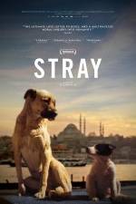 Stray