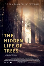 The Hidden Life of Trees