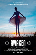 Awaken