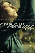 What Do We See When We Look at the Sky