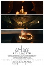 a-ha: TRUE NORTH