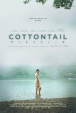 Cottontail