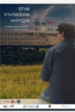 The Invisible Wings