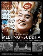 Awareness Festival Special AM Screening