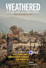 After The LA Firestorm