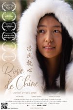 Rose de Chine