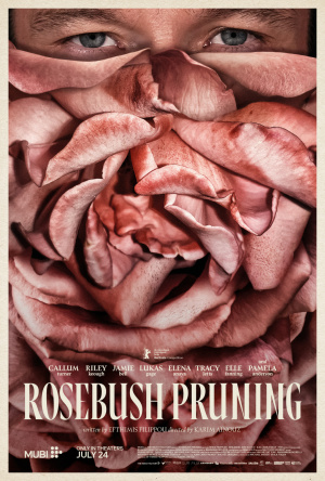 Rosebush Pruning
