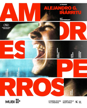 Amores Perros