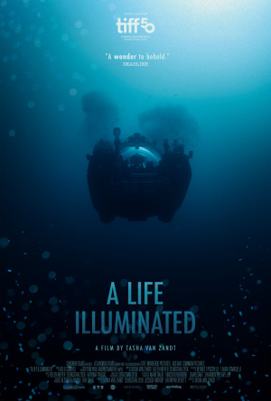 Life Illuminated