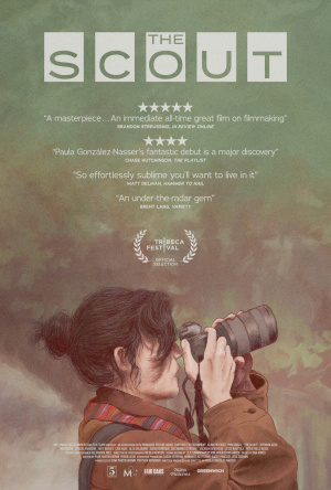 Scout