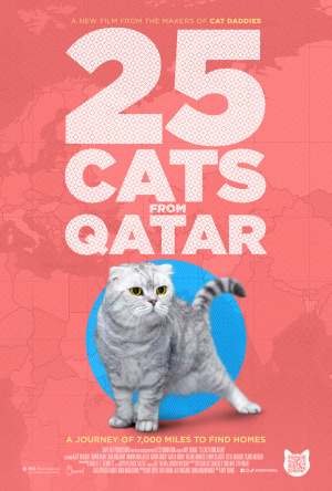 25 Cats From Qatar