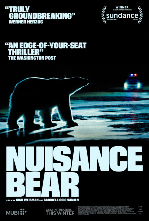 Nuisance Bear